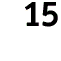 Step 15