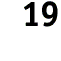 Step 19