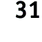 Step 31