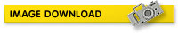 Image Download