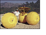 Inflatable